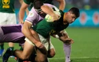 paul-de-villiers-springboks-v-scotland-2026-alamy16.webp
