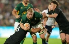pieter-steph-du-toit-springboks-v-all-black-rgr1-bpp16.webp