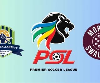 Marumo Gallants, PSL and Swallows status debacle