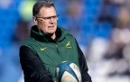 rassie-erasmus-accepts-divided-loyalties-for-all-blacks-showdown.webp