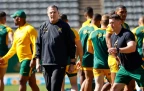 rassie-erasmus-springbok-training-practice-aug-202516.webp