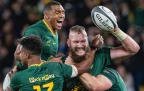 rg-snyman-celebrates-with-springbok-team16.webp