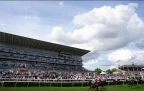 rsz-11doncaster-racecourse-sep22.webp