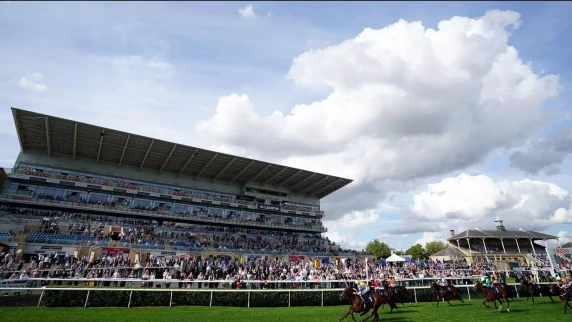 Saturday UK racing cancelled as St Leger meeting is moved to Sunday