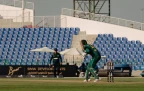 sa-v-irish-odi16.webp