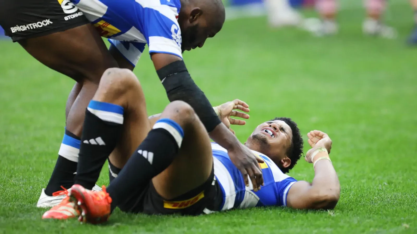 Springboks dealt major blow as Sacha Feinberg-Mngomezulu out for months |  rugby