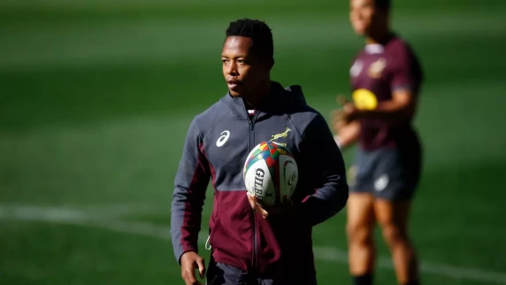 Nkosi and Arendse recalled to Bok squad as Willemse is ruled out