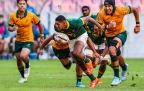 scott-nel-junior-boks-202516.webp