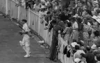 sir-don-bradman-alamy16.webp