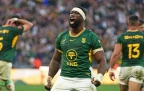 Springboks touch down in Australia for one-off Wallabies Test