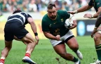 springbok-carlu-sadie.webp