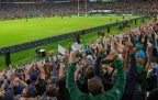 springbok-fans-at-ellis-park16.webp