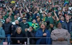 springbok-fans-at-nelson-mandela-bay-stadium-202516.webp