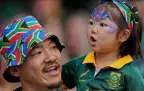 springbok-fans-sep-202516.webp