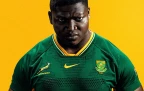 springbok-jersey-for-rgr16.webp