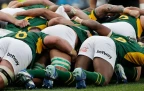 springbok-scrum-2026-rgr-bpp16.webp