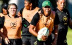 springbok-women-06-june-2025.webp
