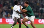 springbok-zachary-porthen-vs-england.webp