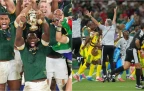 springboks-and-bafana-collage16.webp