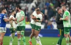 springboks-beat-france-nov-2025-copy.webp
