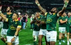 Springboks