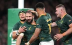 springboks-celebrate-v-ireland-nov-22-202516.webp