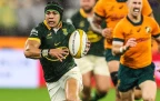 springboks-cheslin-kolbe16.webp