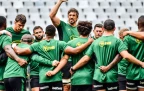 springboks-in-training-sep-202416.webp