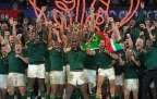 springboks-rugby-world-cup16.webp