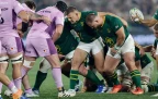 springboks-scrum-v-scotland-2026-bpp16.webp