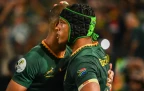 springboks-sharpen-defence-ahead-of-crucial-all-blacks-showdown.webp