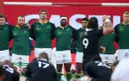 springboks-v-all-blacks-202416.webp