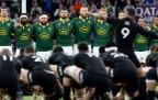 springboks-v-all-blacks-haka-202316.webp