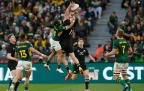 springboks-v-all-blacks-rgr216.webp