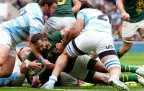 springboks-v-argentina-2-oct-202516.webp