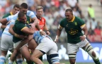 springboks-v-argentina-sep-202416.webp