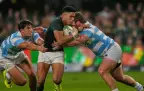 springboks-v-argentina-sep-202516.webp