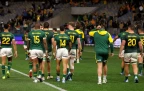 springboks-v-wallabies-2026-alamy16.webp