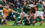 springboks-v-wallabies-aug-23-202516.webp