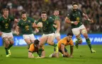 springboks-v-wallabies-trc-2025-r116.webp