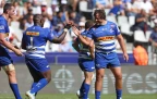 Stormers into URC top-eight with bonus-point win over Scarlets