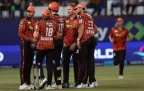 sunrisers-eastern-cape-wicket-celebration16.webp