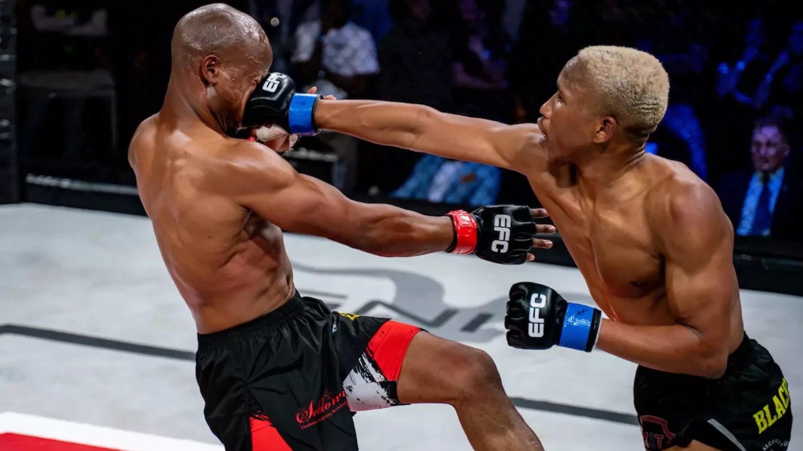 EFC: How Terence Balelo wore out Musa Sethwape with 10-hour notice ...