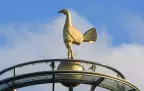 tottenham-hotspur-stadium16.webp