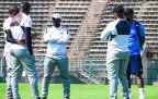 upington-city-coaches.webp