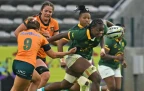vainah-ubisi-springbok-women-bpp16.webp