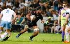 vincenttshituka-sharks-202516.webp
