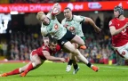 wales-v-ireland16.webp