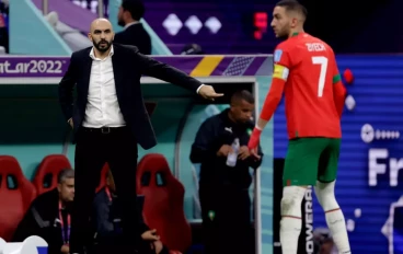 Coach Walid Regragui of Morocco during the World Cup match between France v Morocc