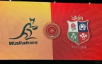 wallabies-british-and-irish-lions-flag16.webp